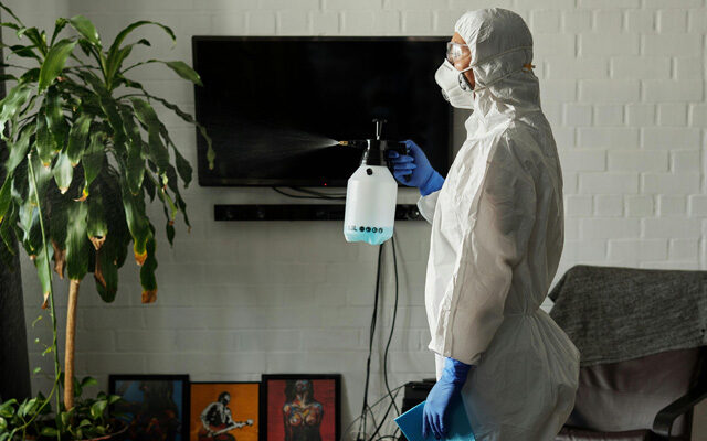 Affordable home cleaning in Old Bethpage