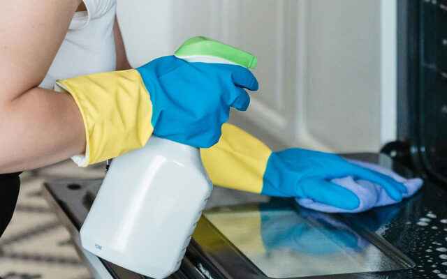 Oven cleaning services East Norwich